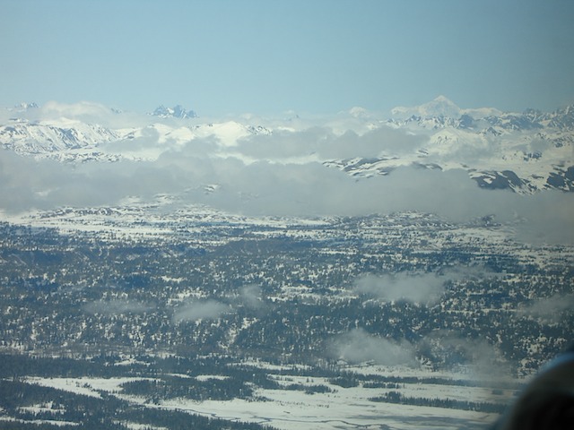 New Landscape