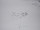 Basin Camp from Bergschrund