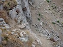 Saddle Path