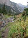 Capitol Creek Trail