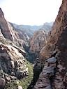 Views up the Canyon