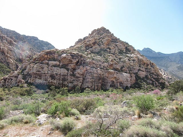 Kindergarden Crag