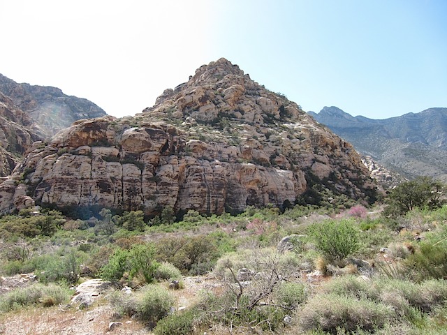 Kindergarden Crag