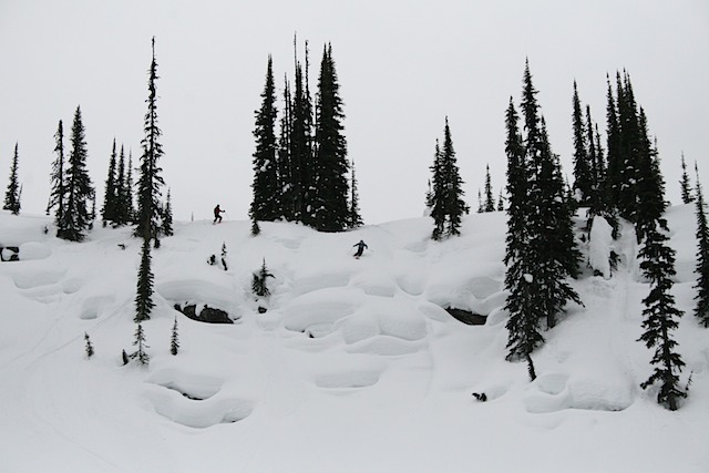 Pillows Galore