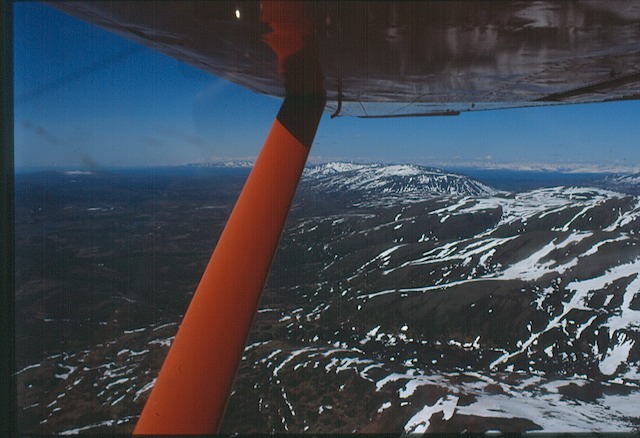 Looking South